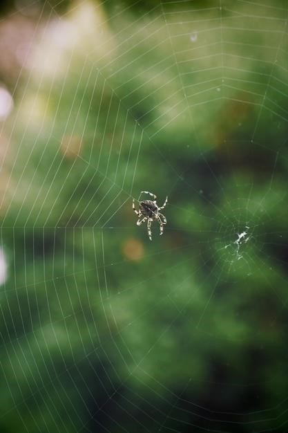 Fliegengitterrahmen: Der perfekte Schutz vor Insekten